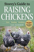 chickens Cover of