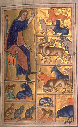 adam Adam names the animals