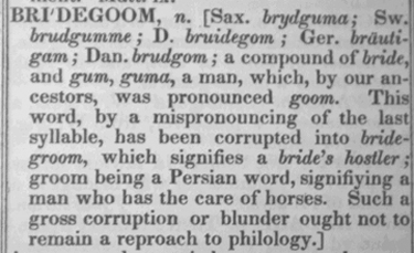 Webster's definition of bridegoom