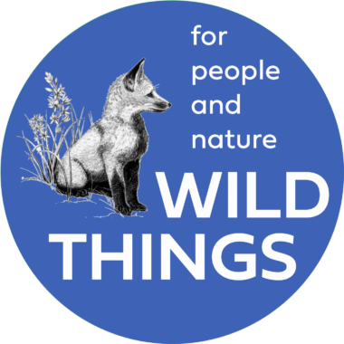 2021 Wild Things Logo