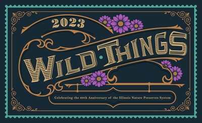 Logo for Wild Things 2023