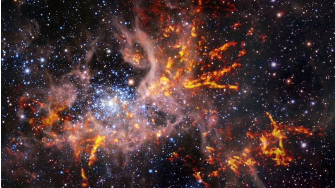 A composite image of the star-forming region 30 Doradus — also known as the Tarantula Nebula — reveals areas of cool gas that can collapse to form stars.  (Image credit: ESO, ALMA (ESO/NAOJ/NRAO)/Wong et al., ESO/M.-R. Cioni/VISTA Magellanic Cloud survey.)