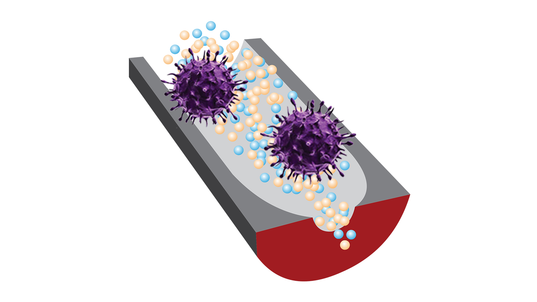 A new sensor can distinguish infectious viruses from noninfectious ones thanks to selective DNA fragments and sensitive nanopore technology. Image courtesy of Ana Peinetti