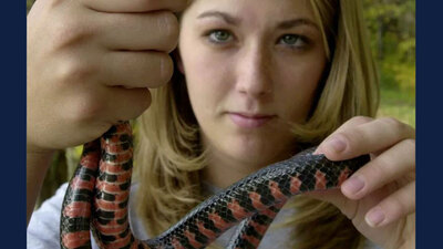 Becky Hileman, a freshman at Southeast Missouri State University majoring in biology education, holds a Mud snake as the snake makes a migratory trek from a nearby swamp, across the scenic LaRue Road to a den area for winter hibernation near Wolf Lake, Ill., in Union County, Tuesday, Oct. 21, 2003. On this U.S. Forest Service road in far southern Illinois, officials call it the only road the government owns that’s closed to vehicle traffic in order to protect reptiles and amphibians as they cross. (APPhoto/Charles Rex Arbogast)CHARLES REX ARBOGAST, AP