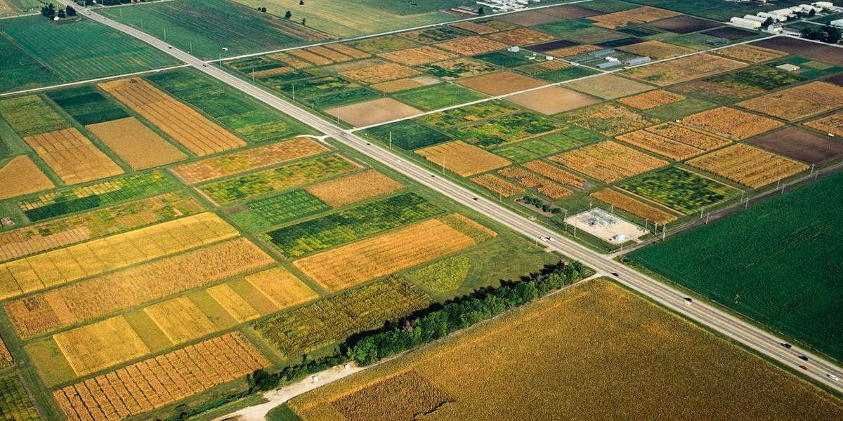 U of I file photo - aerial view of crops on the South Farms