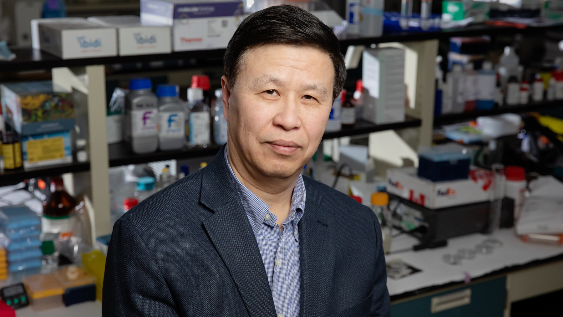 Professor Ning Wang