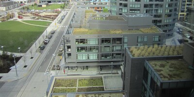 Green rooftops in Portland, Oregon. Photo by Noelwah Netusil