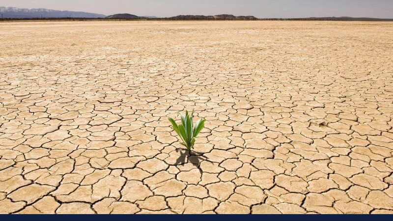 single plant grows on expanse of dry, cracked earth. Credit: Blend Images/Corbis