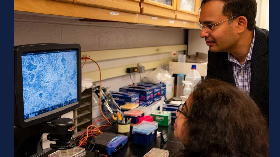 Professor Auinash Kalsotra views a computer screen with a colleague