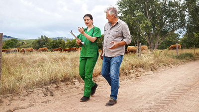 stock image of medical worker in scrubs walking with a farmer in front of a cow pasture. Getty Images