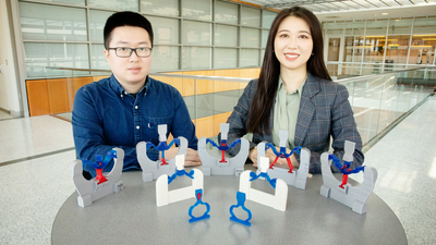 Illinois researchers Weichen Li, left, and professor Shelly Zhang demonstrate how optimization theory and computer algorithms may lead the way for soft robotics and metamaterials design.    Photo by L. Brian Stauffer