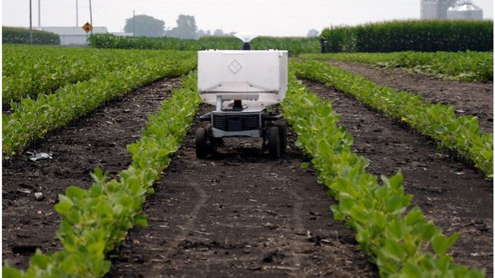 an agricultural robot developed at Illinois monitors a field