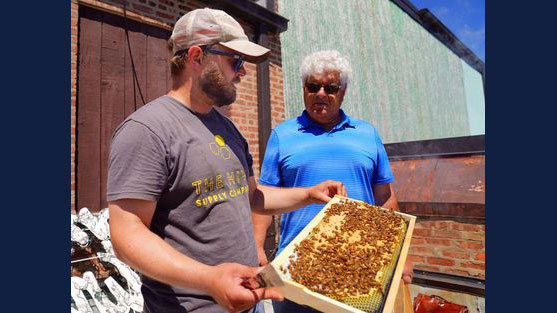 Matt Vaskey of Hive Supply in Pilsen speaks with Andy Smolen of the Franklin Park Public Works Department during their inspection of the hives, Monday, June 14, 2021. | Kevin Tanaka/Pioneer Press (Kevin Tanaka / Pioneer Press)