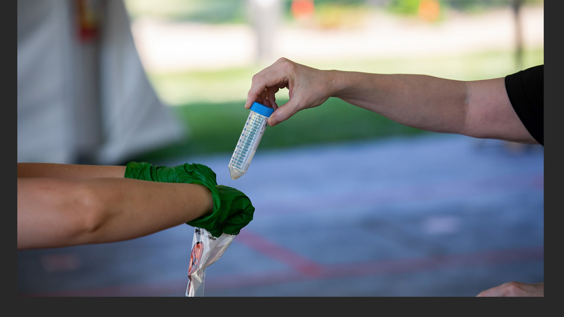saliva testing on the U of I campus