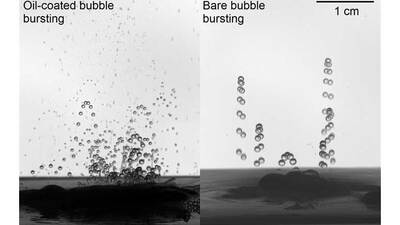Oil-coated bubble bursting (left) produces much smaller aerosol drops, compared to bare bubble bursting (right.)