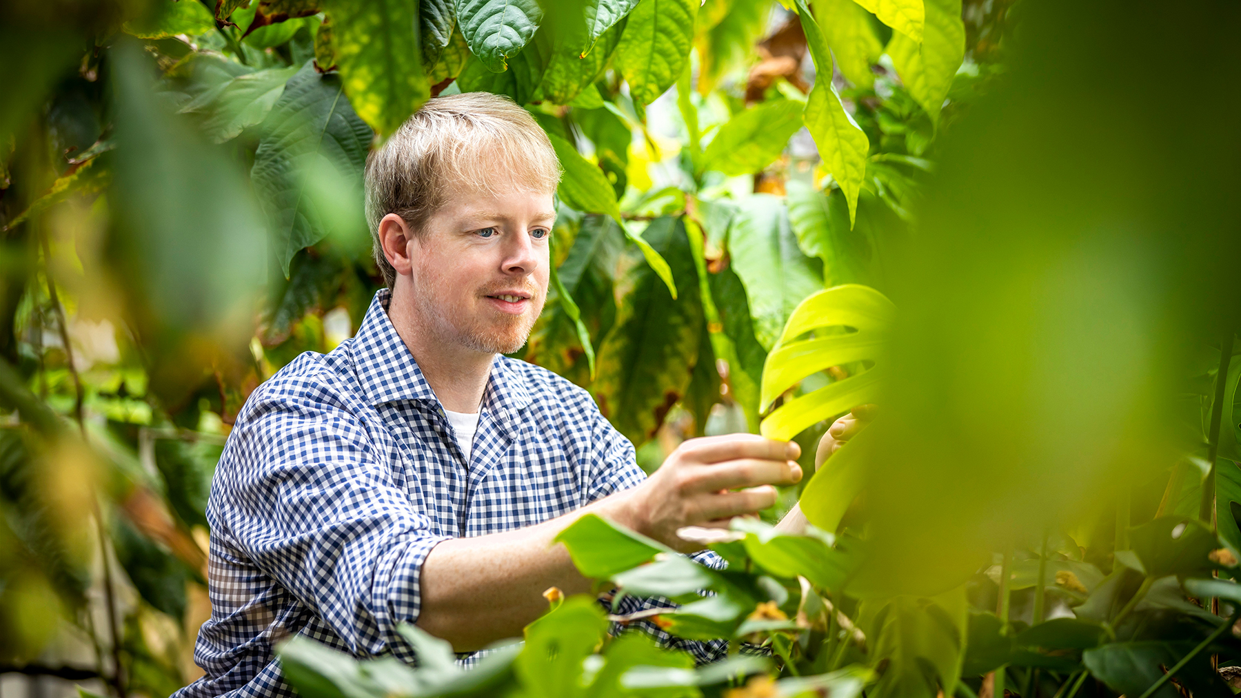 U. of I. plant biology professor James O’Dwyer, pictured, and graduate student Kenneth Jops developed a method for predicting whether pairs or groups of plants are likely to persist together in a habitat over time.  Photo by Michelle Hassel