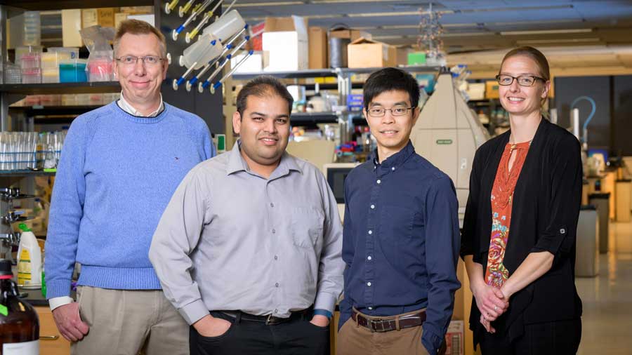 UIUC scientists leading the emerging pathogens project include, from left to right, Nicholas Wu, Beth Stadtmueller, Wilfred van der Donk, and Angad Mehta. Photo by Fred Zwicky, University of Illinois