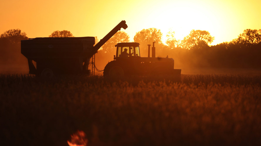 stock image of tractor harvesting corn in light of setting sun. Getty images