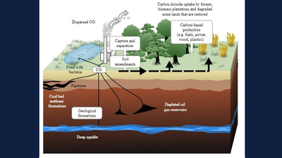carbon sequestration graphic from Wikimedia Commons