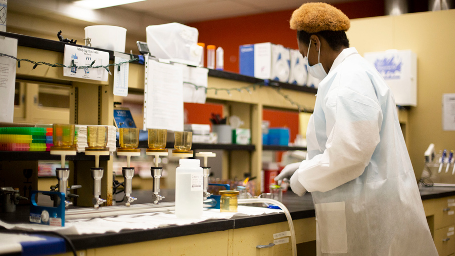 technician tests wastewater in a lab at the University of Illinois Chicago. Photo by UIC