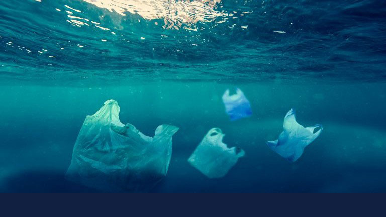 Plastic bags float in ocean water. Plastic packaging waste pollutes the world’s oceans. Photo by pixahive.com