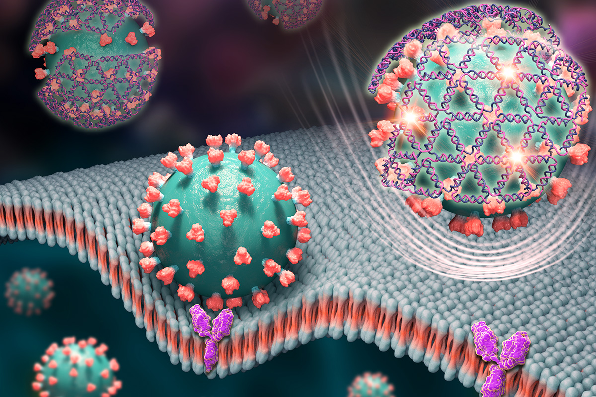 Tiny nets woven from DNA strands cover the spike proteins of the virus that causes COVID-19 and give off a glowing signal in this artist’s rendering.  Image courtesy of Xing Wang
