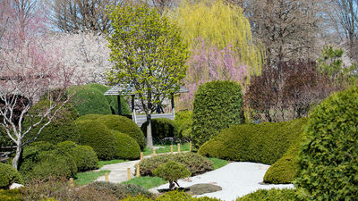 The Dry Garden surrounded by spring foliage.  Photo by Joyce Seay-Knoblauch