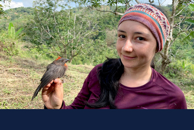 The author, Juliana Soto, with a sooty ant tanager, Habia gutturalis. Soto is a graduate student in the U. of I. Program in Ecology, Evolution and Conservation Biology.  Photo by Natalia Ocampo Peñuela