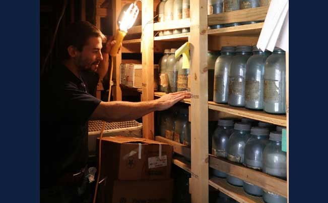 researcher Andrew Margenot looks at rows of canning jars filled with soil samples, dating from as early as 1862