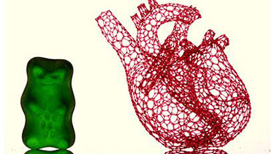 “Freeform 3D-Printed Heart Scaffold with Gummy Bear,” by Matthew Gelber, working in the Bhargava Laboratory, was a finalist in the 2016 Science Image Challenge