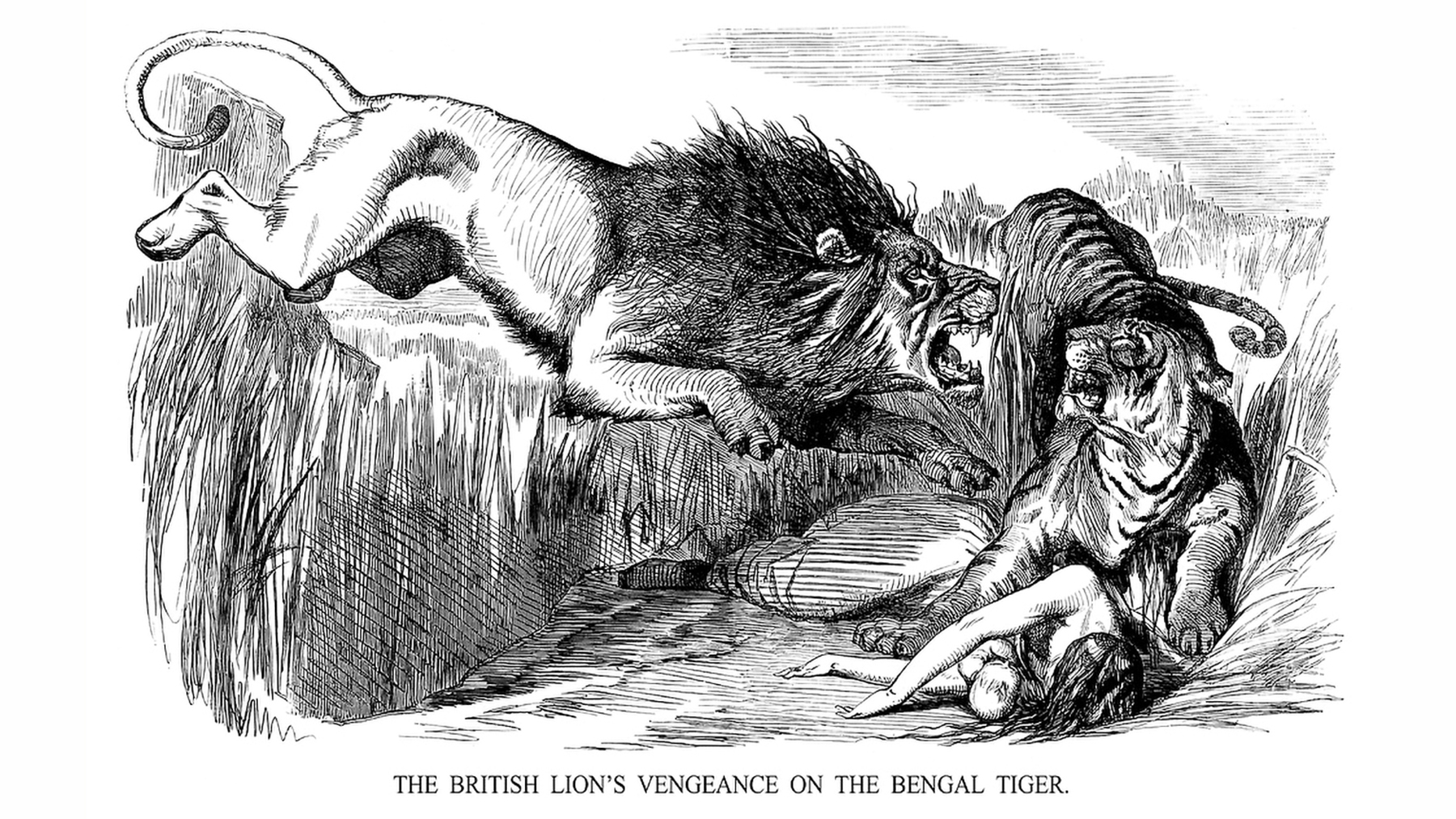 “The British Lion’s Vengeance on the Bengal Tiger,” by John Tenniel, was published during the Indian Mutiny, when India rebelled against British rule. Sketch from Punch, Aug. 22, 1857.