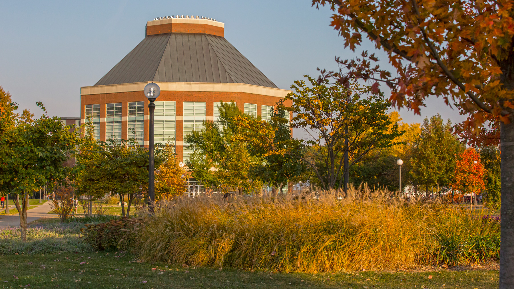 ACES Librarry in Fall. Photo by L. Brian Stauffer