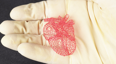 Freeform printing allows the researchers to make intricate structures, such as this model of a heart, that could not be made with traditional layer-by-layer 3-D printing. Photo by Travis Ross, Beckman Institute