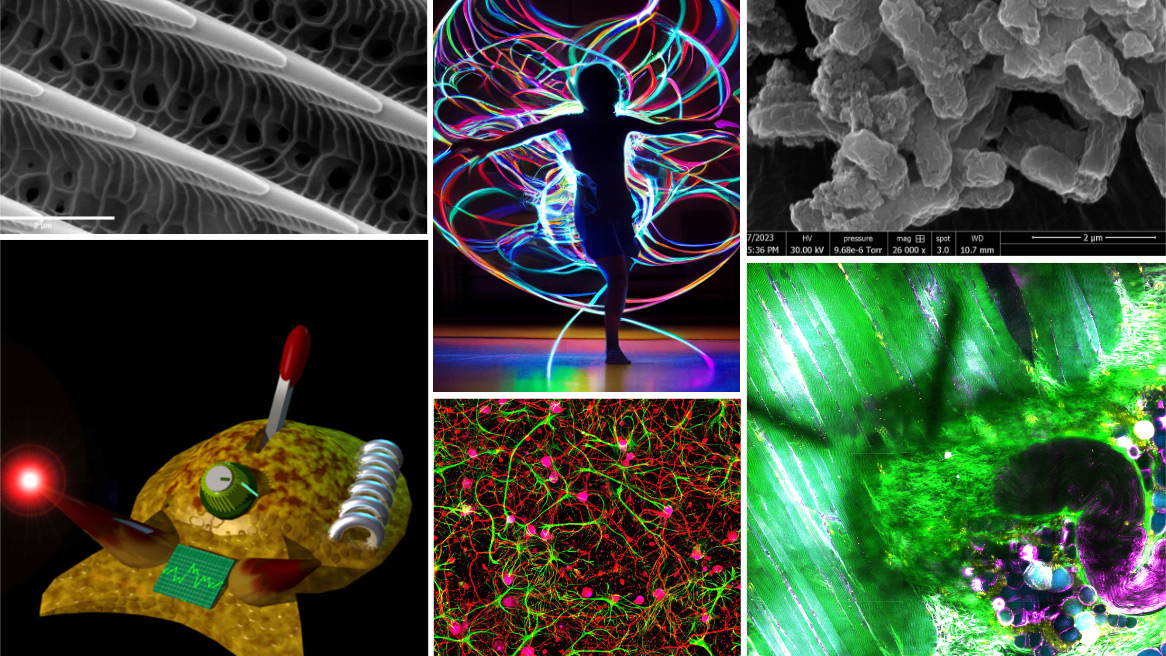 composite of six winning photographs in the Beckman Institute Research Image contest
