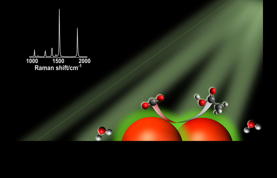 In the right conditions, silver nanoparticles, represented by the large orange spheres, can absorb visible light. Charge carriers produced by light excitation are transferred to CO2 and water, allowing the conversion to hydrocarbons and other multicarbon molecules. In the graphic, carbon atoms are black, oxygen atoms are red and hydrogen atoms are white.  Graphic courtesy D. Devasia/Jain Lab/University of Illinois Urbana-Champaign
