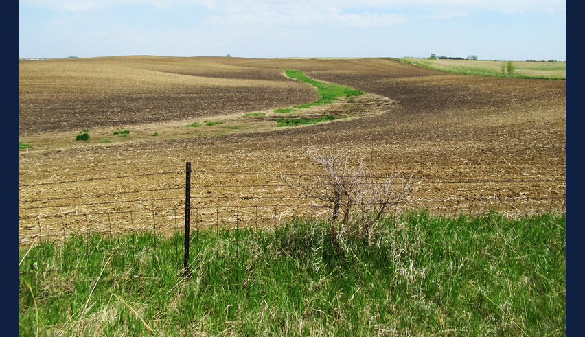 Soil on hilltops in this photo is lighter in color, revealing a loss of fertile topsoil. Photo by Evan Thaler for NPR