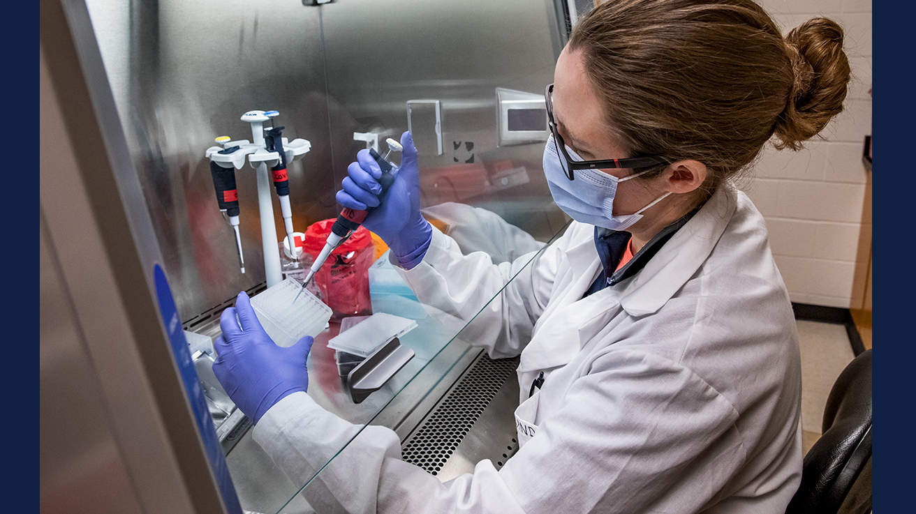 Dr. Robin Holland, a member of the campus COVID-19 research team, runs tests on saliva samples at the university’s Veterinary Diagnostic Laboratory.  Photo by Fred Zwicky