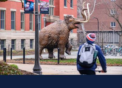 A new mammoth sculpture is found in the same place its ancestors wandered 30,000 years prior. That’s even older than the neighboring Natural History Building (NHB), built in 1892, from where it draws inspiration. Photo by Fred Zwicky