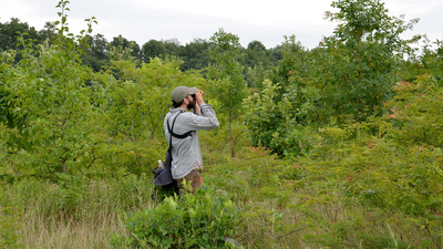 Illinois Natural History Survey avian ecologist Bryan Reiley looks for rare birds on conservation lands. Photo courtesy Bryan Reiley