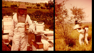 sepia-toned image of a decades-younger Gene Robinson wearing full beekeeping regalia