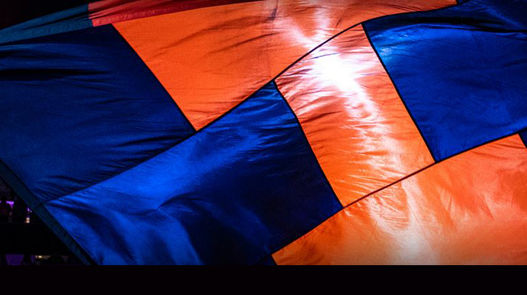 illini flag
