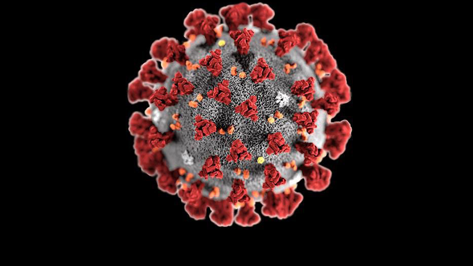 COVID-19 virus via Smithsonian Magazine