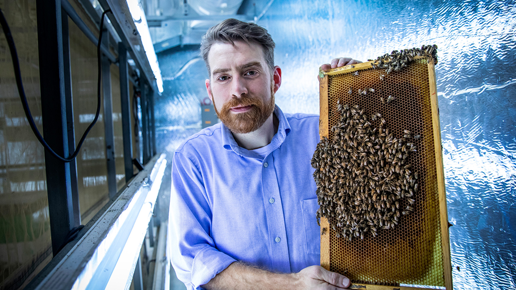 Entomology professor Adam Dolezal.  Photo by Fred Zwicky