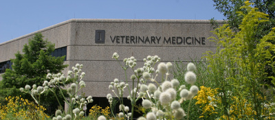 Veterinary Medicine building at Illinois with prairie plants in the foreground