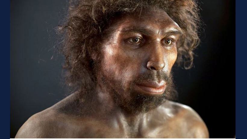 image of an unknown species of early human that nearly died out around 900,000 years ago, according to genetic analysis. It might have been both the ancestor of Homo heidelbergensis and a species ancestral to our own.Credit: S. Entressangle/E. Daynes/Science Photo Library