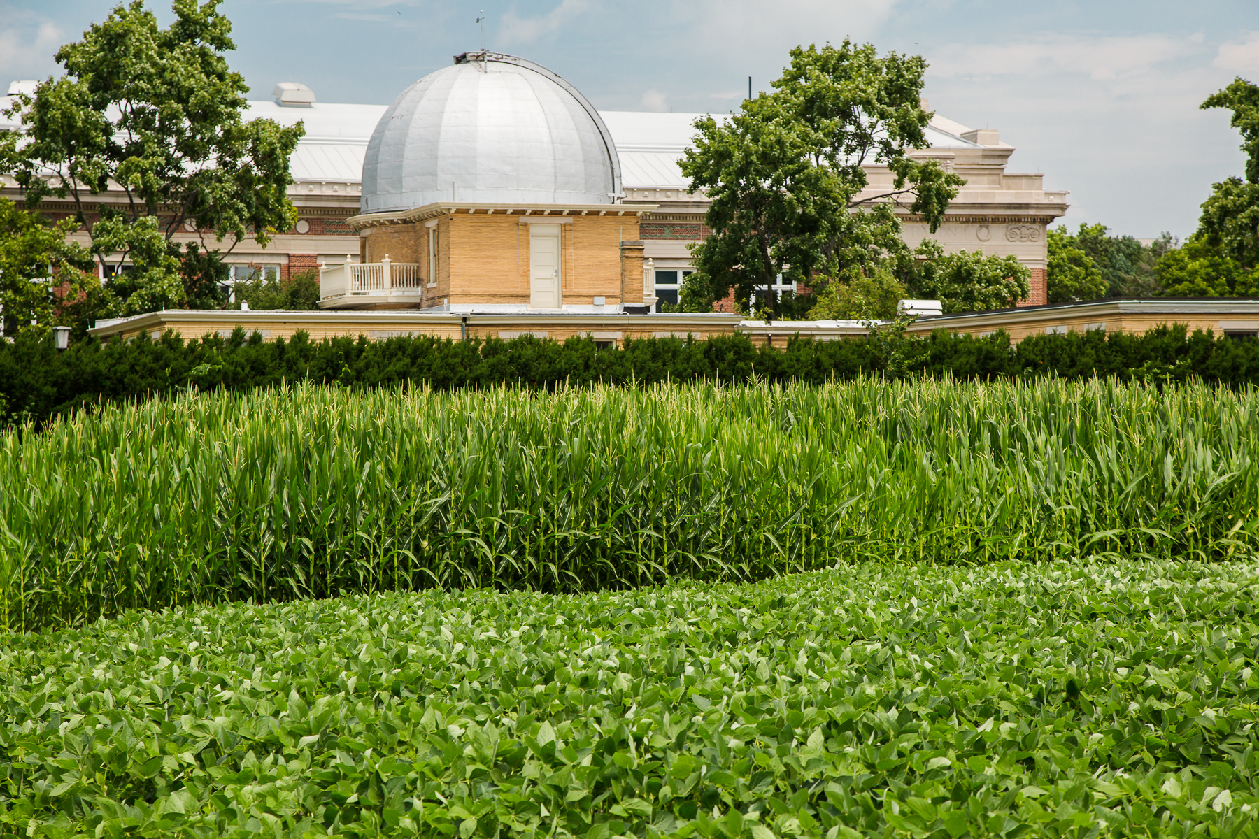 the University of Illinois Observatory, seen across the Morrow Plots. Photo by Brian Stauffer