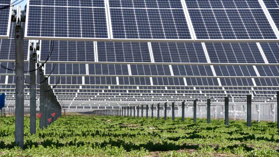 SSC’s Illinois Green Fund helped fund the Solar Farm 2.0 project. Photo by Facilities & Services at Illinois