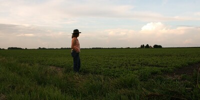 woman stands alone looking out at soybean field