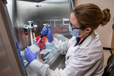 Dr. Robin Holland, a member of the COVID-19 research team for the University of Illinois, Urbana-Champaign, runs tests on saliva samples at the university’s Veterinary Diagnostic Laboratory.
