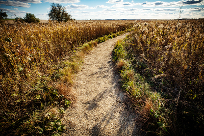 A 6-foot wide gravel path snakes through Fred and Nancy Delcomyn’s backyard prairie, seen here in early November.